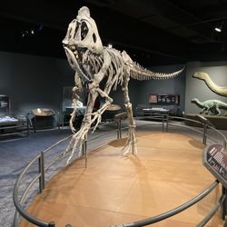 The Durham Museum - I will never NOT be excited to see a dinosaur