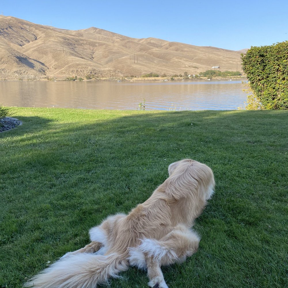 Kickin' back and enjoying the view from our riverfront site. Kickin' back and enjoying the view from our riverfront site.
