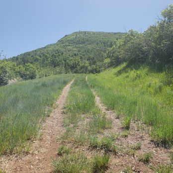 Armstrong Trail - More views - Hiking Near Me - Park City, Utah Armstrong Trail - More views - Hiking Near Me - Park City, Utah