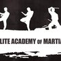 Elite Academy of Martial Arts