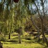 Ladera Park gift card