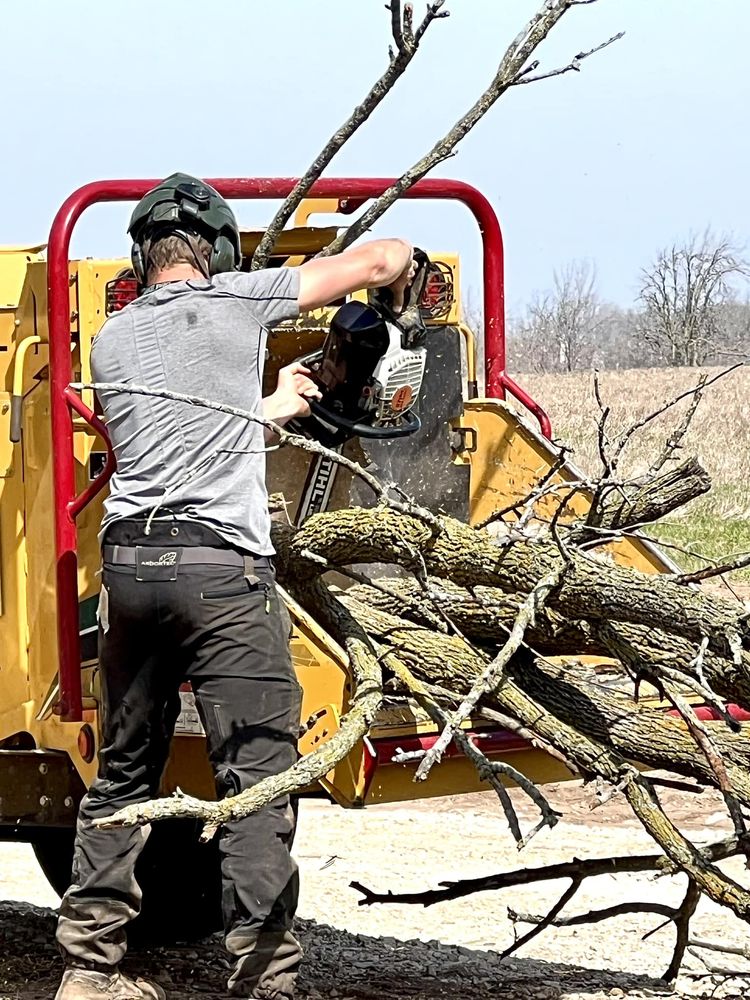 Prime Tree Service - tree service in Grafton, WI