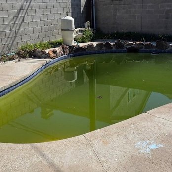 Richie & Mikeys Pool Service - Before - Pool Cleaners Near Me Richie & Mikeys Pool Service - Before - Pool Cleaners Near Me