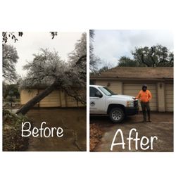 Chuy's Tree Service - Excellent crew and service!