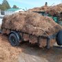 Photo of A Basic Cut Lawn Care