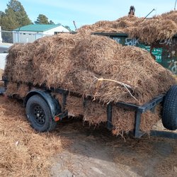 A Basic Cut Lawn Care