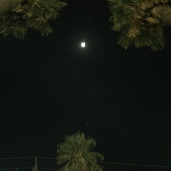 Hunter Park - Pretty palm trees - Parks Near Me - Riverside, California Hunter Park - Pretty palm trees - Parks Near Me - Riverside, California