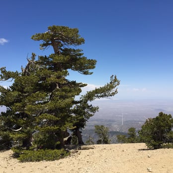 Mount Baden-Powell Trail - Hiking Near Me