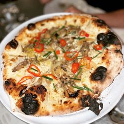 Josefina - Funghi Pizza with oyster mushroom, creme fraiche, fresno - 8.2/10