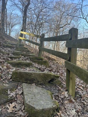 Mississippi Palisades State Park by null