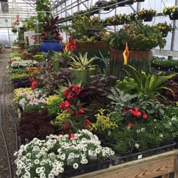Walter's Greenhouse - Display house