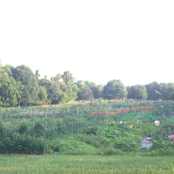 Woottons Mill Park - Community garden - Parks Near Me - Rockville, Maryland Woottons Mill Park - Community garden - Parks Near Me - Rockville, Maryland