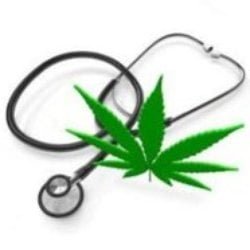 Oakland 420 Doctor