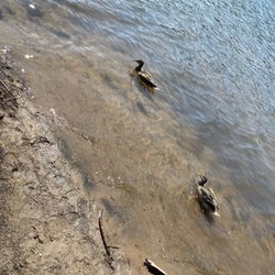 Crystal Springs Campgrounds