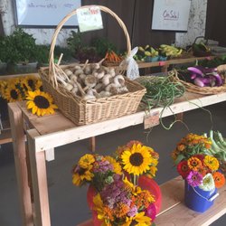 Lima Family Farm - The sunflower bouquets were only $5!