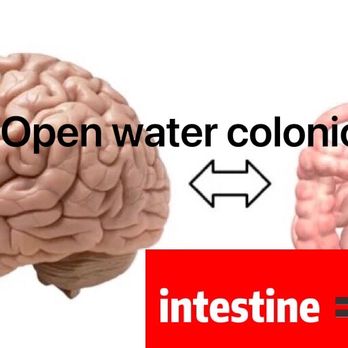 Open Water Colonic - Open water colonic - Colonics Near Me Open Water Colonic - Open water colonic - Colonics Near Me