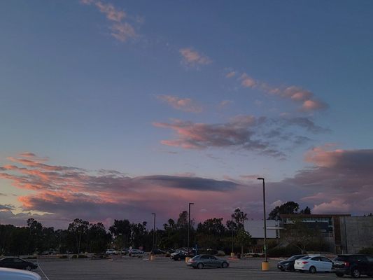 Palomar College by null