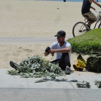 Venice Beach Boardwalk - Beaches Near Me - Venice, California