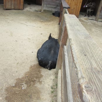 Sequoia Park Zoo - Zoos Near Me - Eureka, California Sequoia Park Zoo - Zoos Near Me - Eureka, California