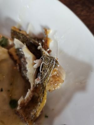 The Walrus Room by null