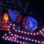 Photo of Pig Farm Christmas Light Show
