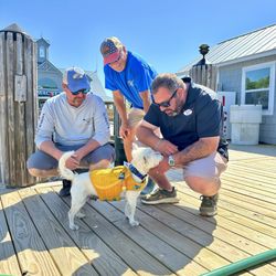 Wacca Wache Marina - Dog friendly