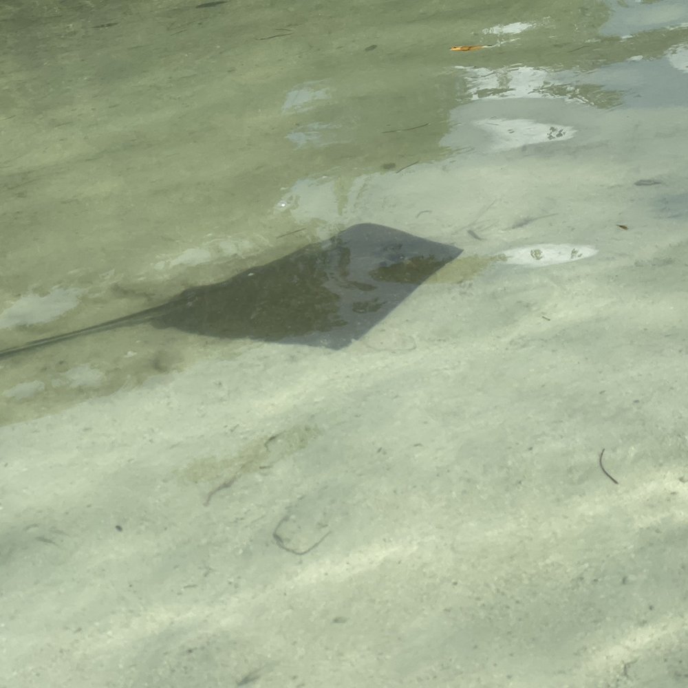 Island Tales Charters - Stingray - Boat Charters Near Me - Key West, Florida Island Tales Charters - Stingray - Boat Charters Near Me - Key West, Florida