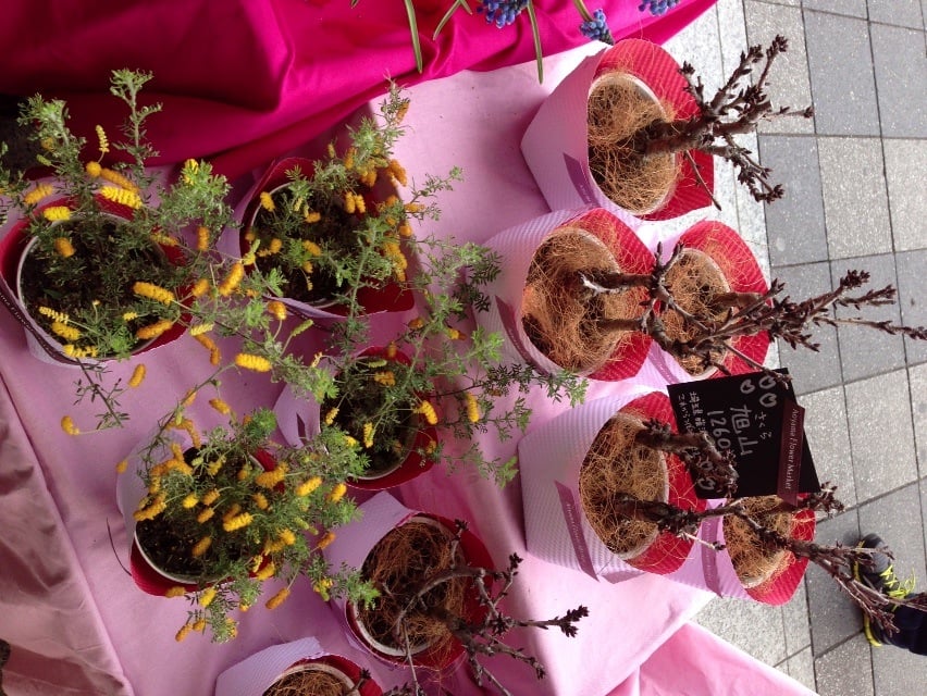 青山フラワーマーケット 赤羽店 Closed Florists 赤羽1 1 1 北区 東京都 Japan Phone Number Yelp