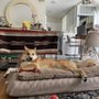 Photo of Seal Beach Animal Care Center