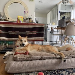 Seal Beach Animal Care Center
