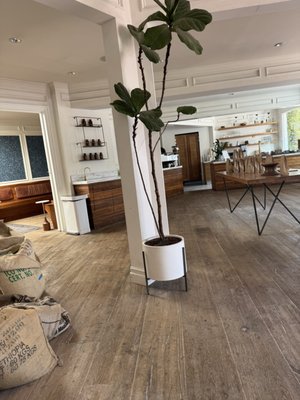 Herst Coffee Roasters by null