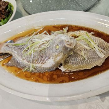 May Yan Seafood Restaurant - Seafood Near Me - Scarborough, Ontario May Yan Seafood Restaurant - Seafood Near Me - Scarborough, Ontario