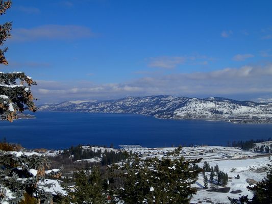 A View of the Lake Bed & Breakfast by null