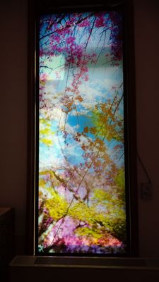 Tokyo Metropolitan Teien Art Museum by null