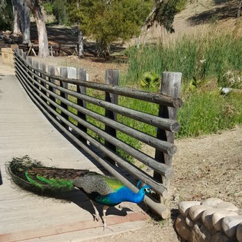 Leo Carrillo Ranch Historic Park - Landmarks & Historical Buildings Near Me - Carlsbad, California