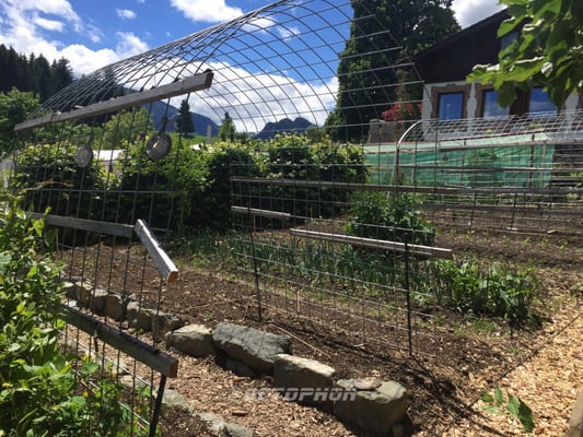 Burghotel Bären by null