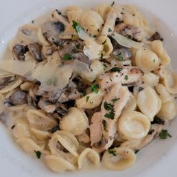 ORECCHIETTE FUNGHI With wild mushrooms in a truffle cream sauce