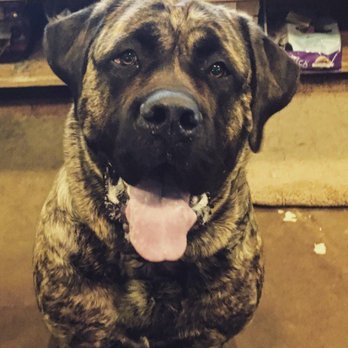 Whole Pets - Pet Stores Near Me - Boulder, Colorado Whole Pets - Pet Stores Near Me - Boulder, Colorado