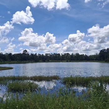 Martha Wellman Park - Parks Near Me - Tallahassee, Florida Martha Wellman Park - Parks Near Me - Tallahassee, Florida