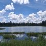 Martha Wellman Park