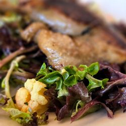 10 Acres Bistro - Duck Confit