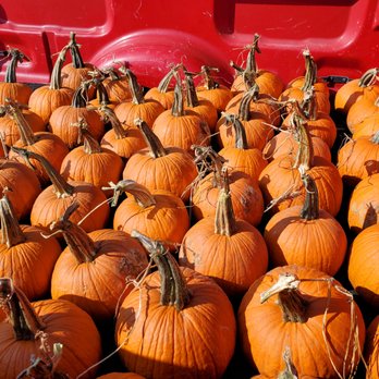 Madison Gardens Nursery