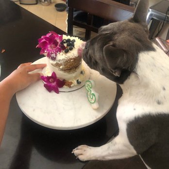 Kalani Kakes - Cupcakes Near Me