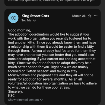 King Street Cats - Suddenly there's some issue - Animal Shelters Near Me - Alexandria, Virginia