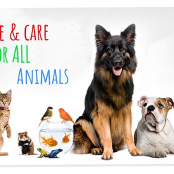 A Walk for All Seasons - A Walk For All Seasons is a well established 24 hour pet care company, that provides custom care for your family's needs - Dog Walkers Near Me A Walk for All Seasons - A Walk For All Seasons is a well established 24 hour pet care company, that provides custom care for your family's needs - Dog Walkers Near Me