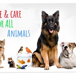 A Walk for All Seasons - A Walk For All Seasons is a well established 24 hour pet care company, that provides custom care for your family's needs