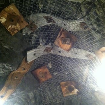 Sierra Silver Mine Tour - Secured mine ceiling. - Tours Near Me - Wallace, Idaho