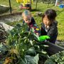 Photo of Kingdom Kids Christian Preschool