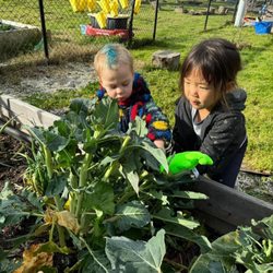 Kingdom Kids Christian Preschool