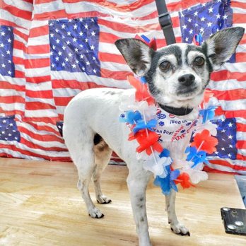 Mr Dog Mobile Grooming - Pet Groomers Near Me Mr Dog Mobile Grooming - Pet Groomers Near Me